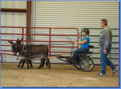 Three Day Driving Clinic!