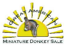 The Great American Miniature Donkey Sale!