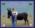 Angus of Ass-Pirin Acres - 2nd Adult Trail