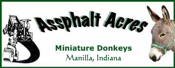 Assphalt Acres Miniature Donkeys