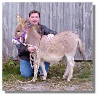 miniature donkey, Rufina, & her new owner, Mark (10,133
bytes)