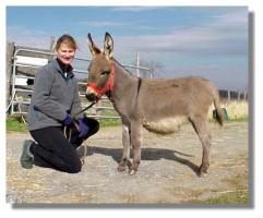 miniature donkey, Nashawna & proud new owner! (9953
bytes)