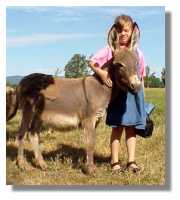 miniature donkey, Nashawna, for sale (6052
bytes)
